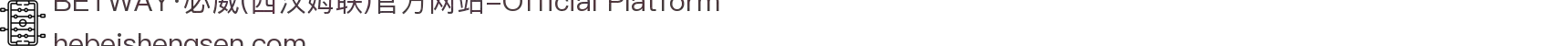 BETWAY·必威(西汉姆联)官方网站-Official Platform