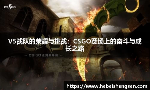 bsports必一体育