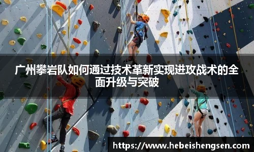 必一bsports体育