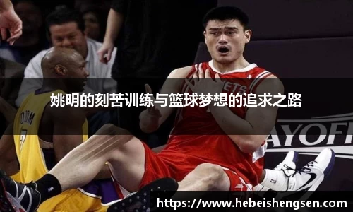 必一bsports体育