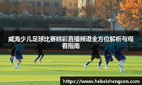 必一bsports体育