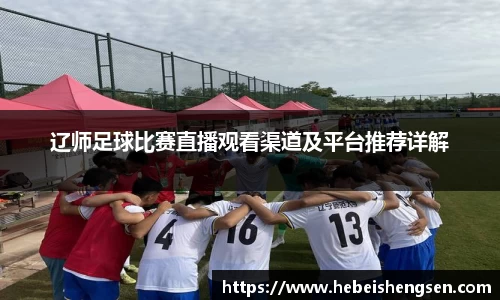 bsports必一体育